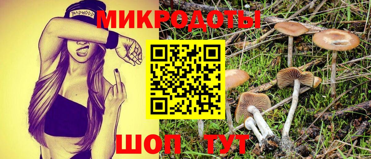 Тимашёвск  Псилоцибиновые грибы Psilocybe  купить закладку  Вход с VPN 