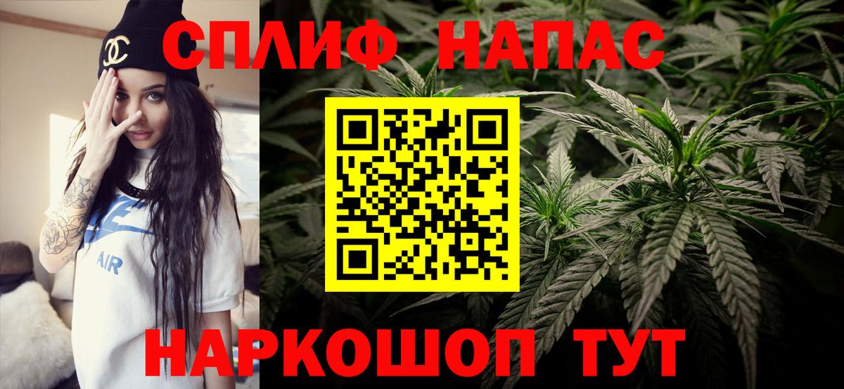 Конопля гибрид Тимашёвск